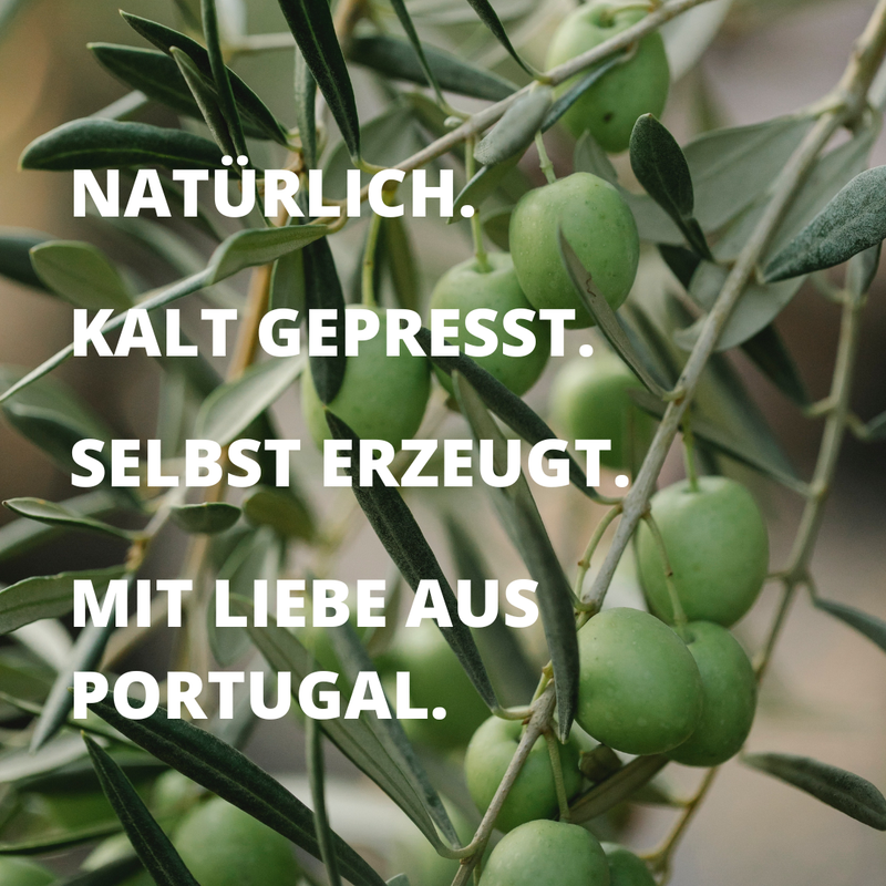Ernte 2023 | Natives Olivenöl Extra aus Portugal (Kanister)