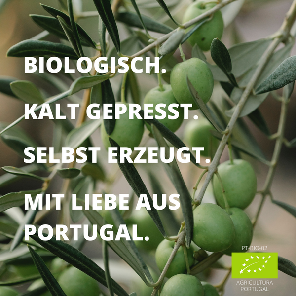 Ernte 2023 | Natives Olivenöl Extra aus Portugal (Kanister)